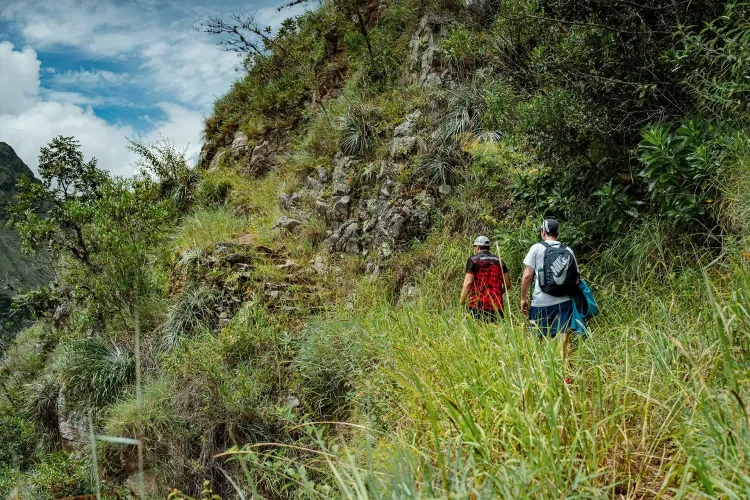 Inca Jungle & Machu Picchu 4 days