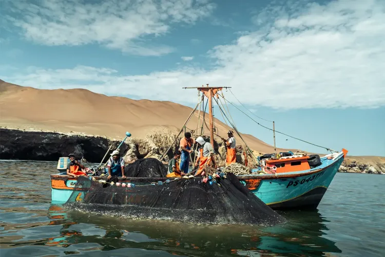 Paracas & Huacachina 3 days