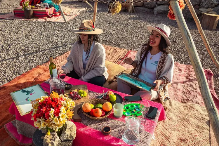Picnic con alpacas en Cusco